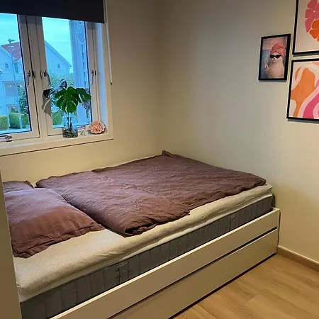 Grasholmen, شقة